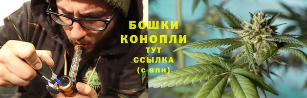 амф Вязьма