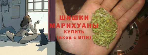 амф Вязьма