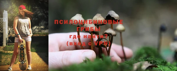 амф Вязьма