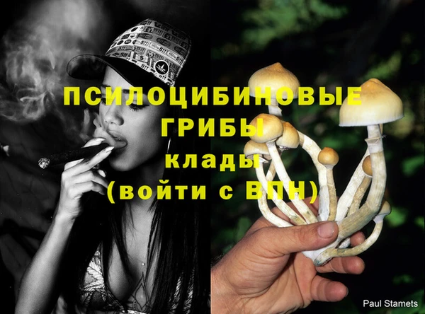 амф Вязьма